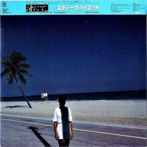 STEVE HIETT スティーヴ・ハイエット / Down On The Road By The Beach 渚にて [LP]