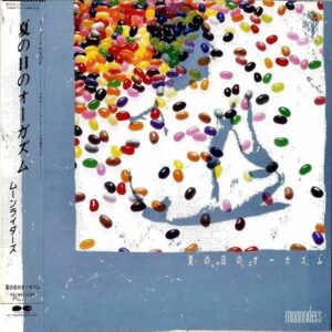 MOON RIDERS ムーンライダーズ / 夏の日のオーガズム [12INCH]