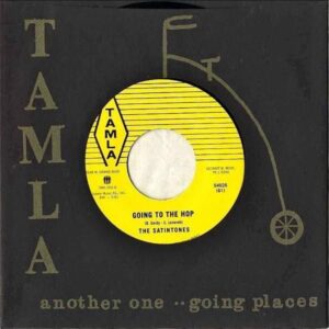 THE SATINTONES / Going To The Hop [7INCH]