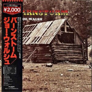 JOE WALSH ジョー・ウォルシュ / Barnstorm バーンストーム [LP]