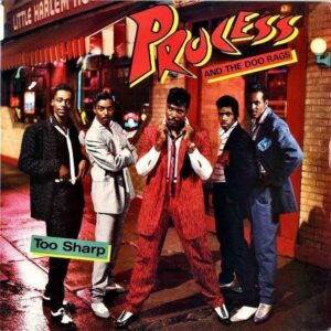 PROCESS AND THE DOO RAGS / Too Sharp [LP]