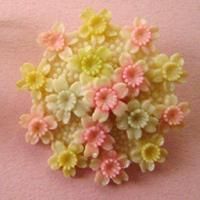 セルロイドのブローチ&イヤリング*BOUQUET