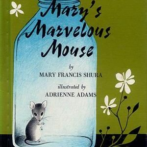 MARY’S MARVELOUS MOUSE